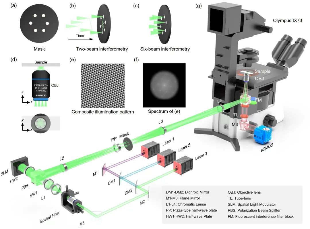 前沿 | 深度学习赋能活细胞超分辨成像_前沿 | 深度学习赋能活细胞超分辨成像_