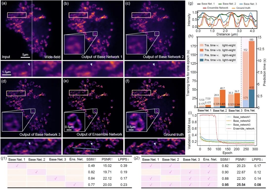 前沿 | 深度学习赋能活细胞超分辨成像_前沿 | 深度学习赋能活细胞超分辨成像_