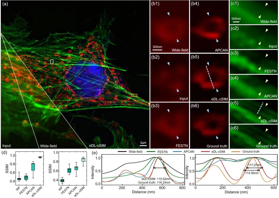 前沿 | 深度学习赋能活细胞超分辨成像_前沿 | 深度学习赋能活细胞超分辨成像_