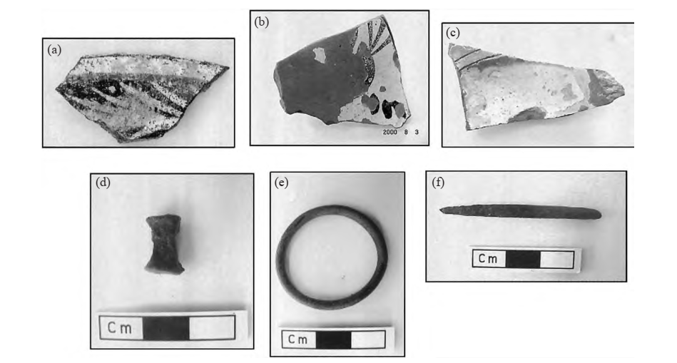 激光诱导击穿光谱仪_激光诱导光谱仪检测文物_