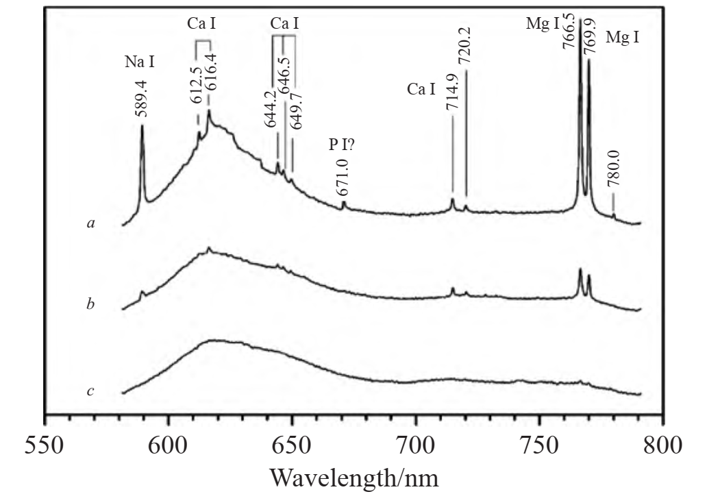 激光诱导击穿光谱仪__激光诱导光谱仪检测文物