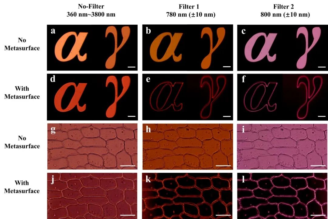 高数微分中值定理教案_imgaej表面孔径_