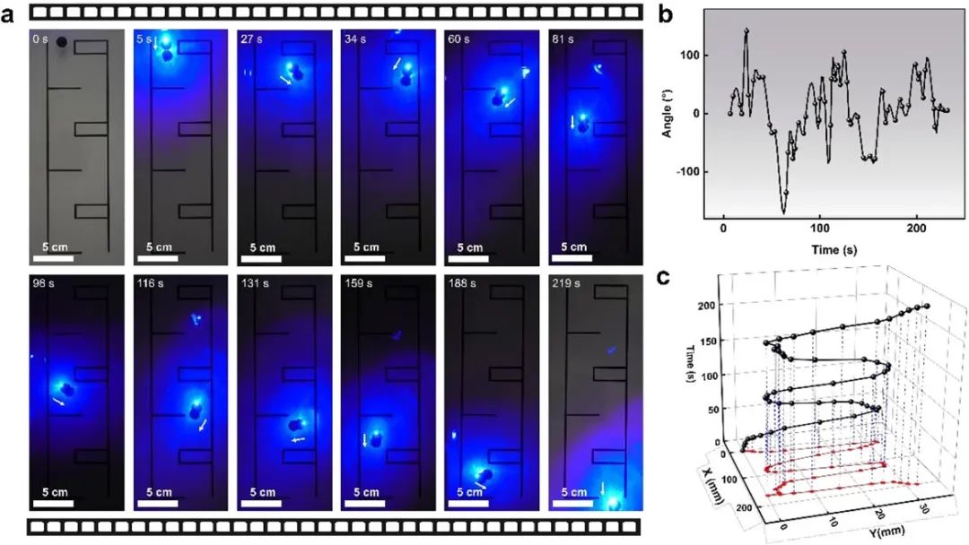 _前端净水系统_前置净水系统