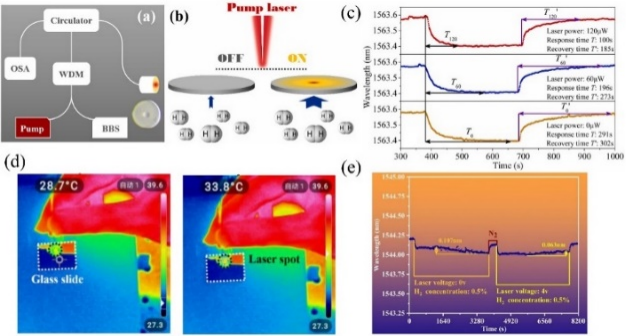 _大连理工大学彭伟教授、张信普副教授团队—光纤氢传感技术现状与发展_大连理工大学彭伟教授、张信普副教授团队—光纤氢传感技术现状与发展