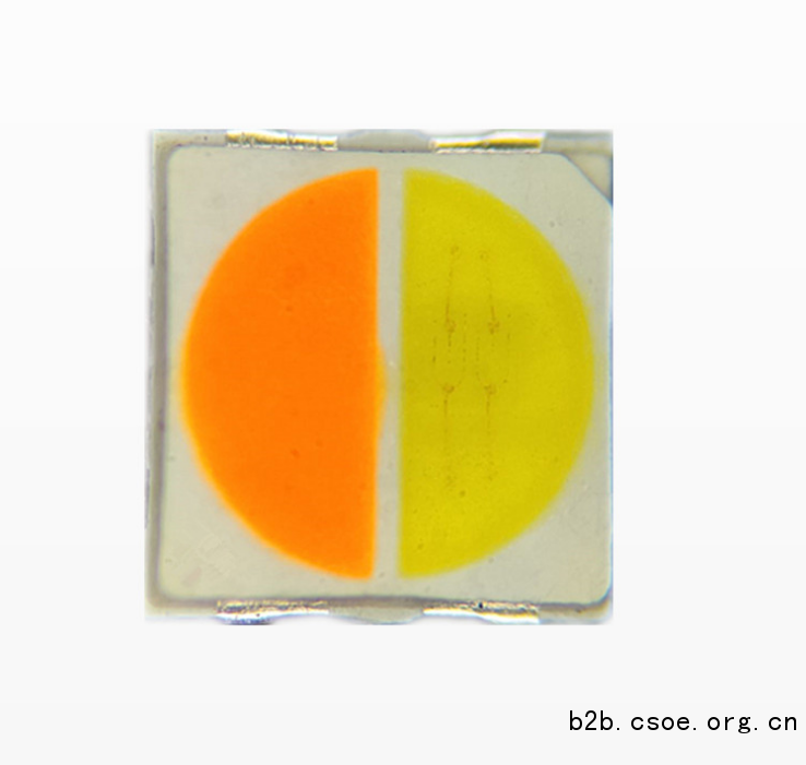 3030正白暖白双色温