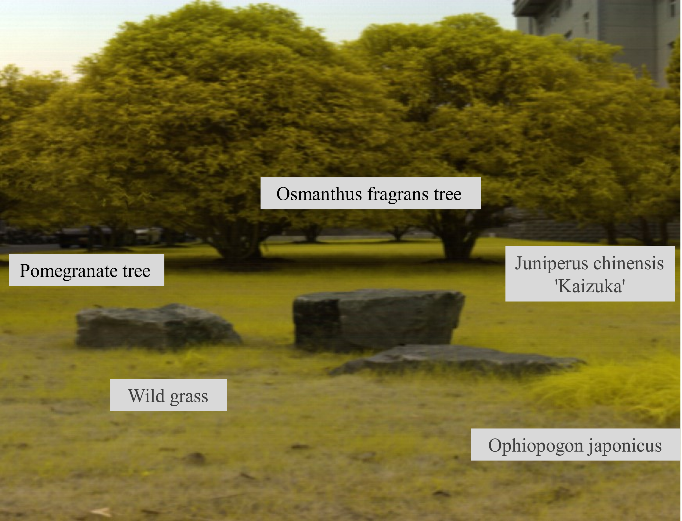 _光学仪器检测_光学仪器成像