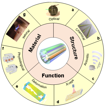光电进展期刊__光纤通信展望